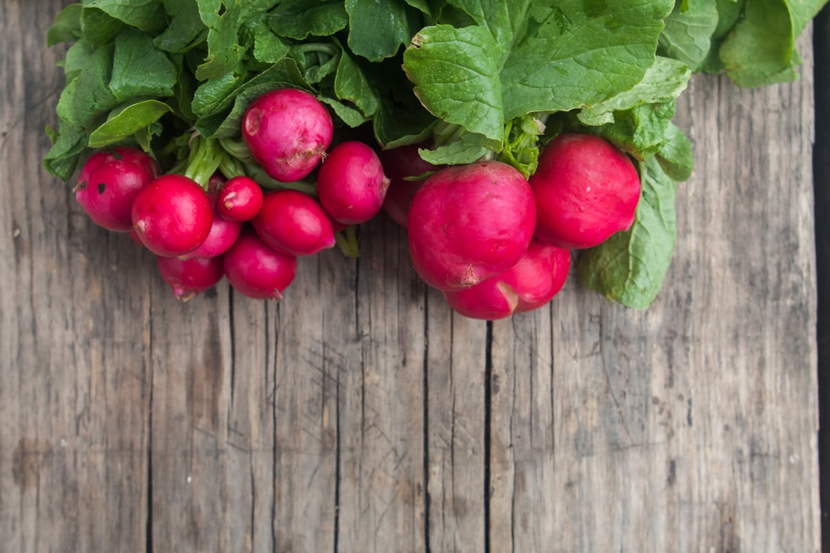 Gesunde Ernährung und Gewichtsmanagement